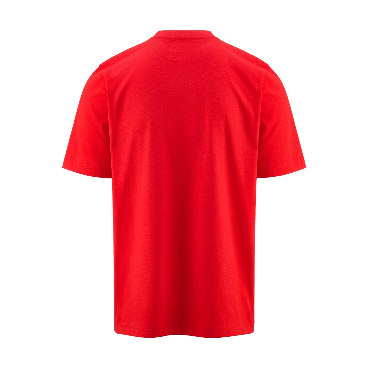 LOGO EDIZ 889 RED