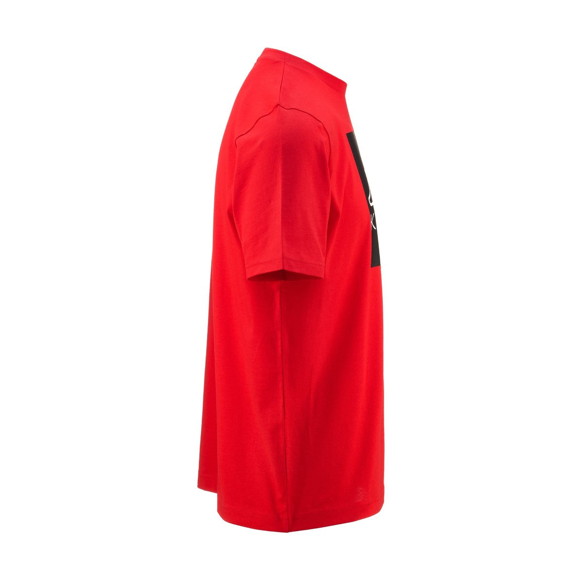 LOGO EDIZ 889 RED
