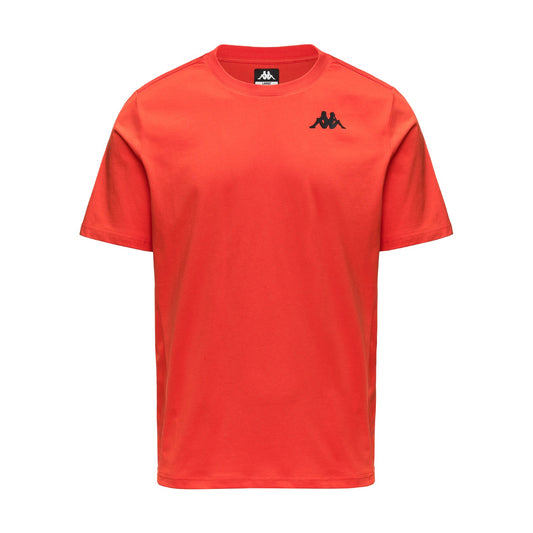 IRATEKO - ORANGE DK