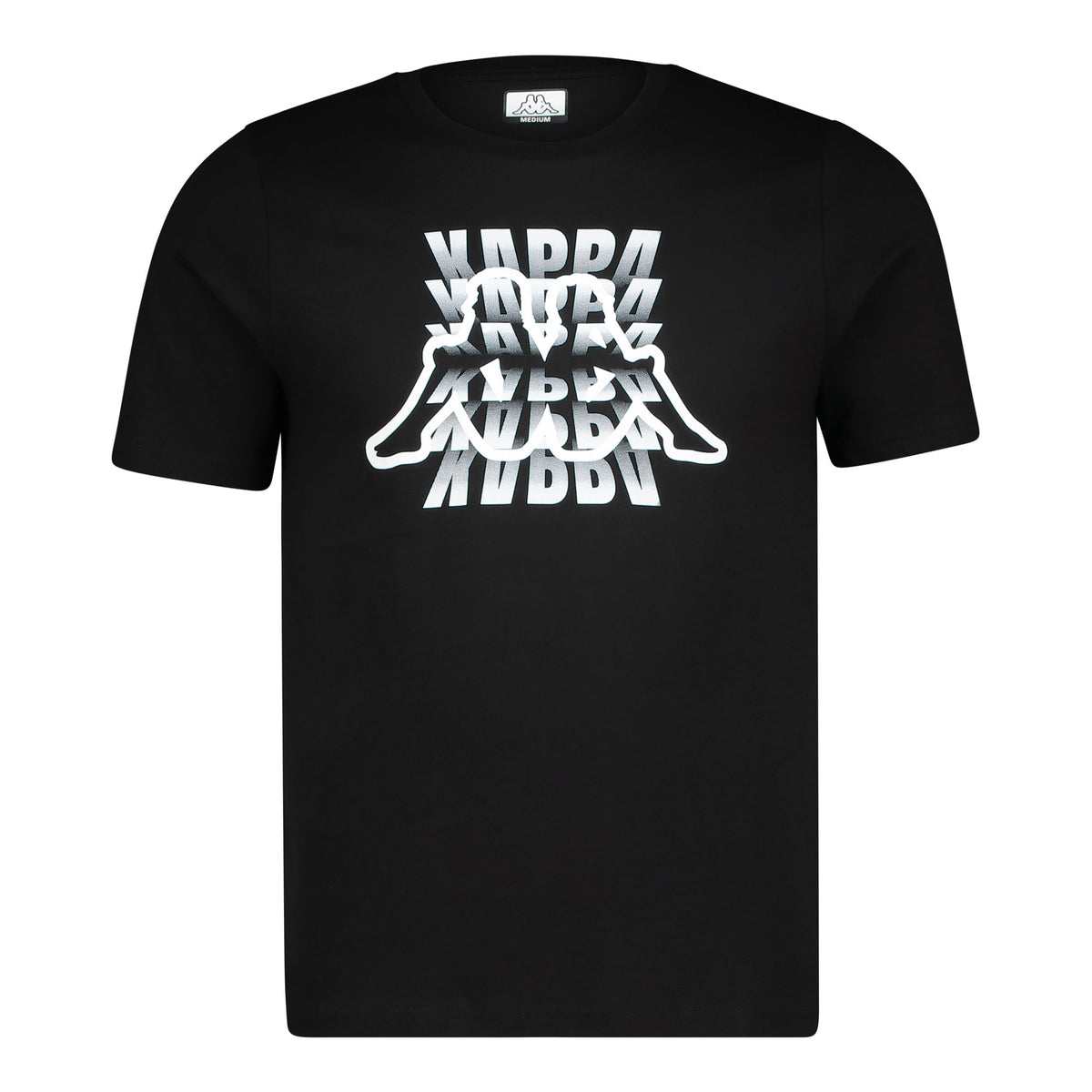 LOGO IVERIDIS - Black