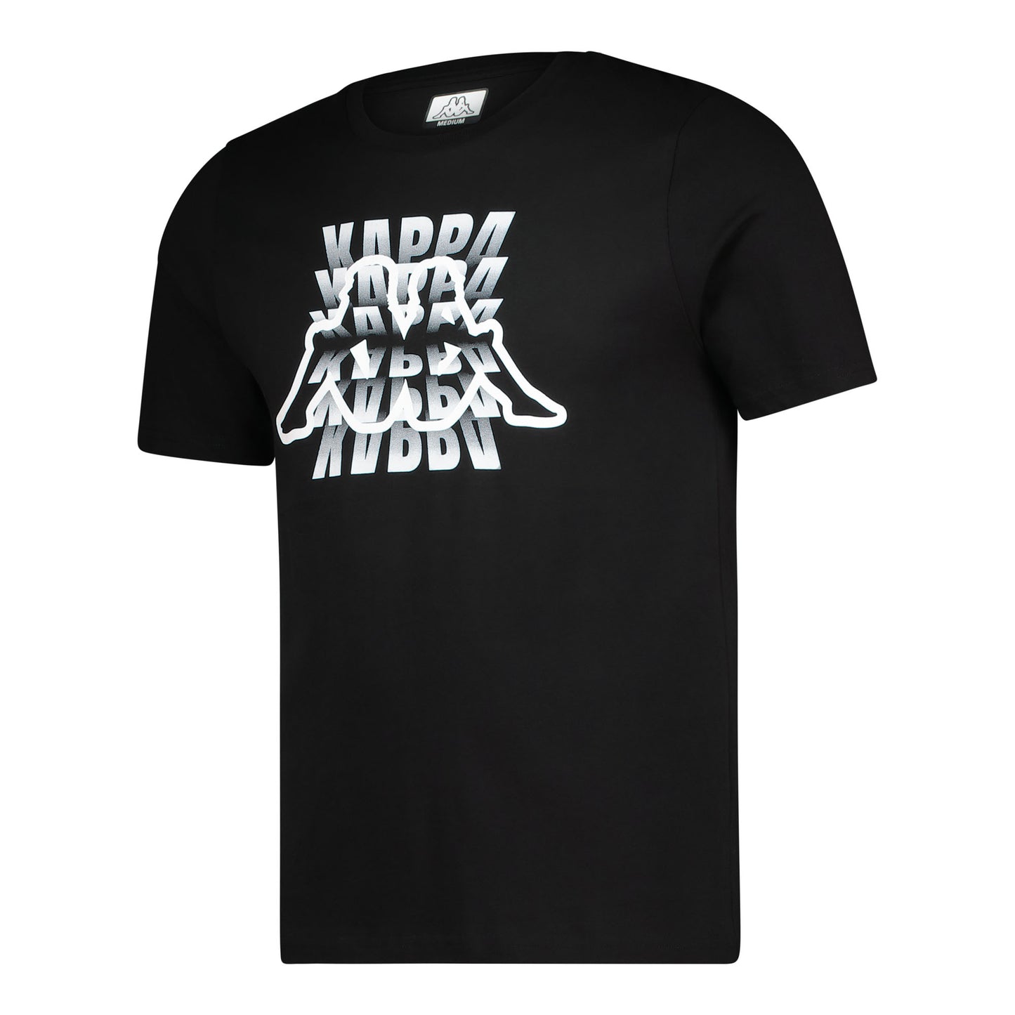 LOGO IVERIDIS - Black