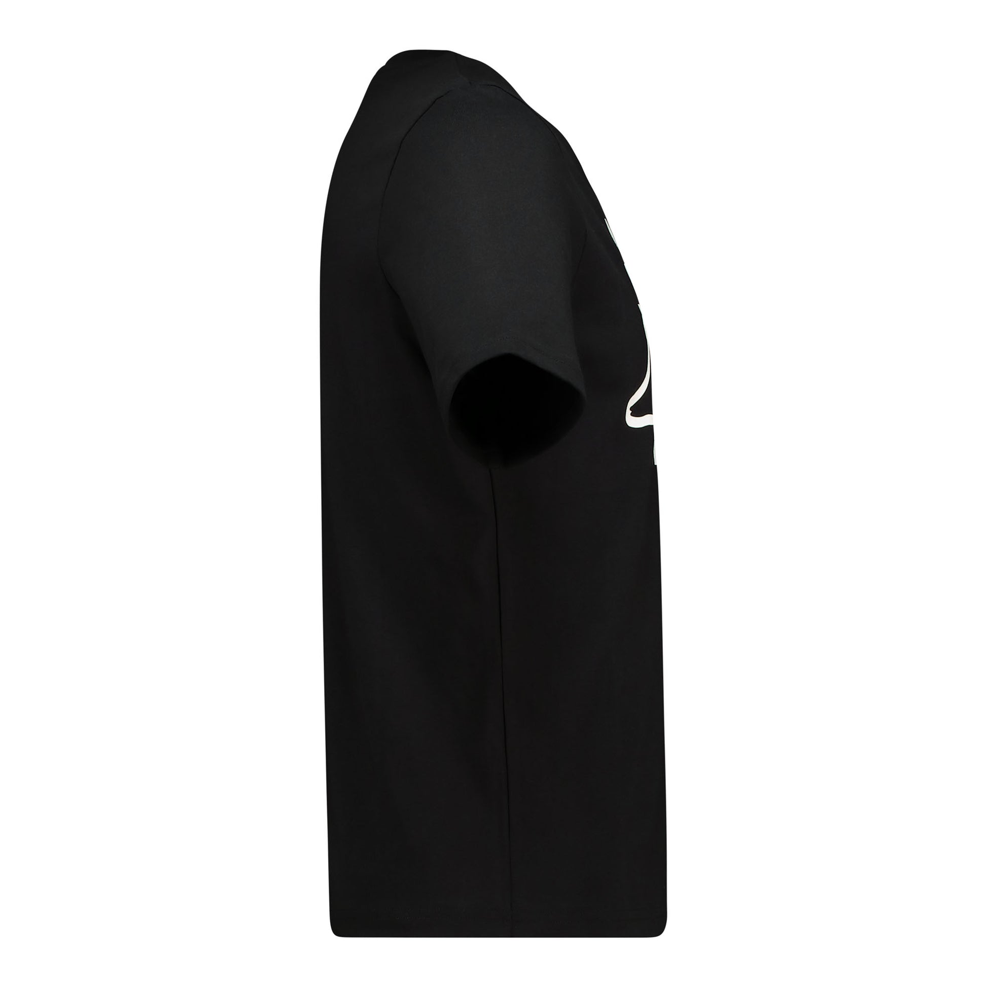 LOGO IVERIDIS - Black