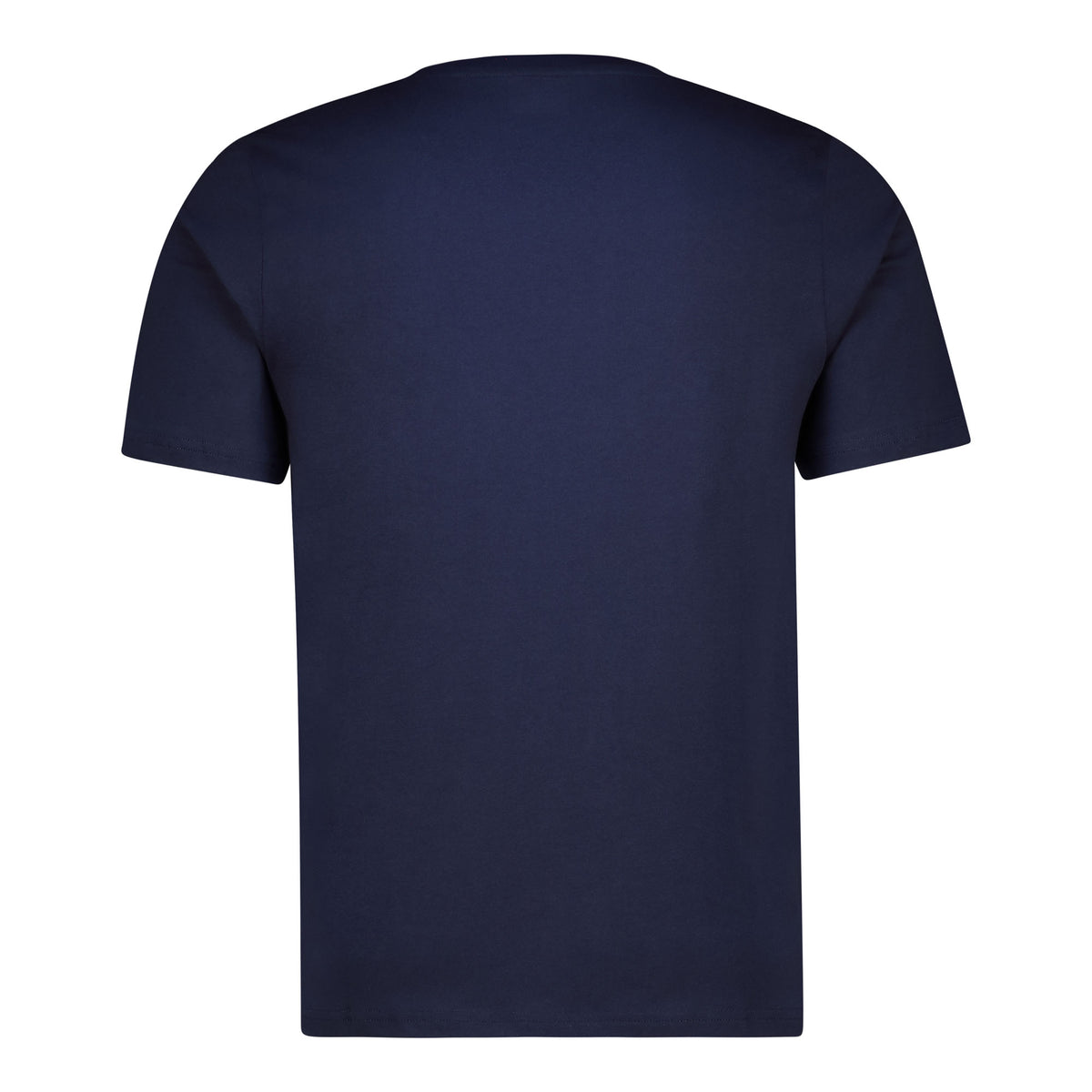 LOGO ISFIRE - Blue Marine